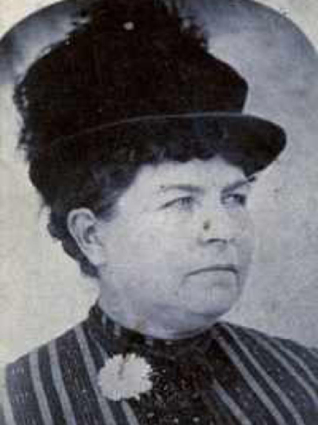 Phoebe Ellen Bromley (1836 - 1911) Profile